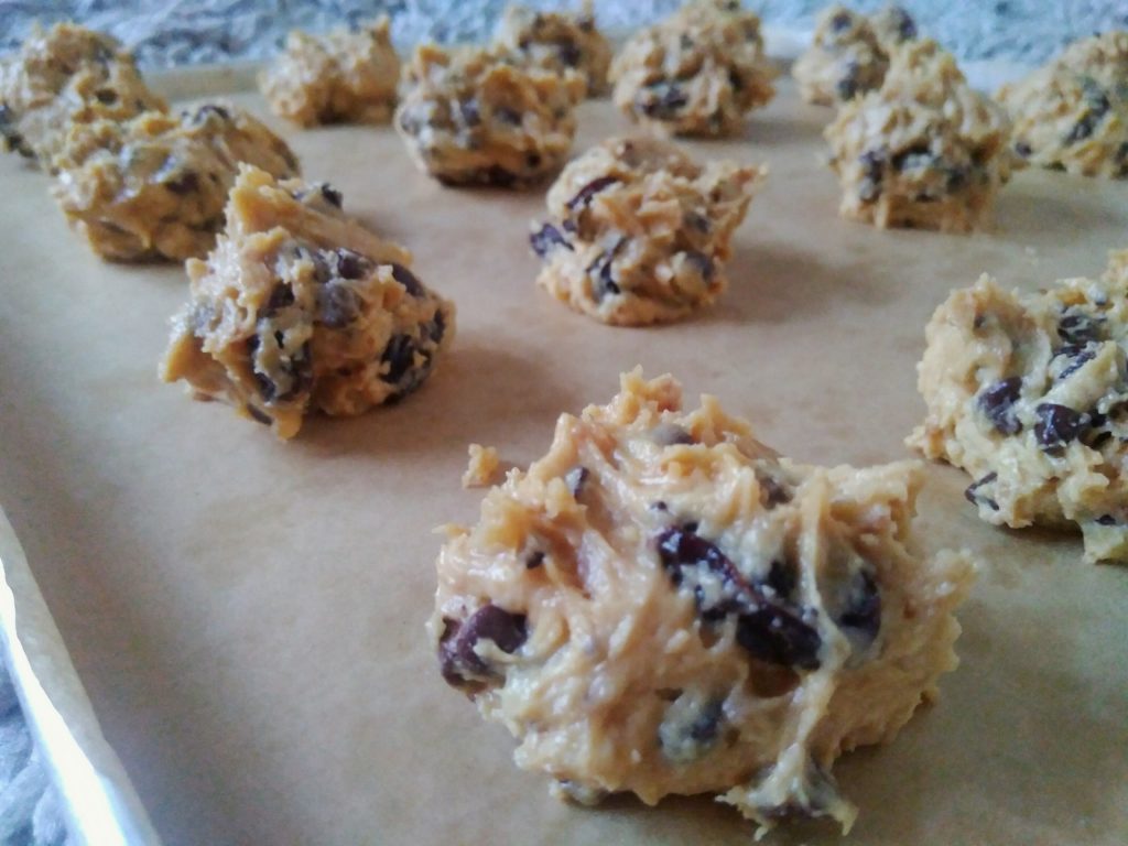 cemilan hari ini Vanilla Chocochip Cookies by Natasha Setiawan
