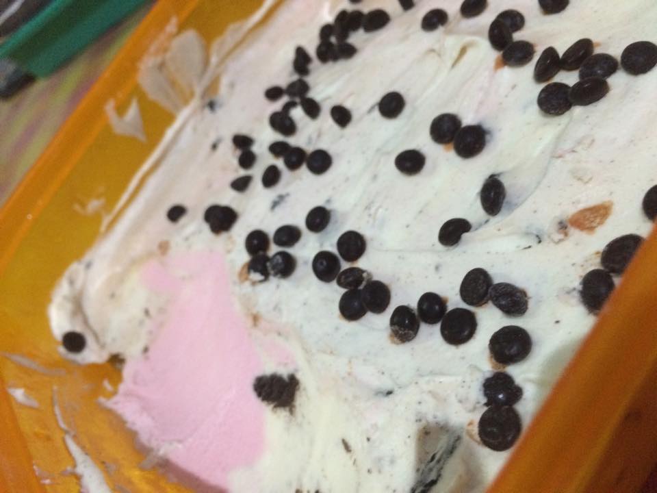 Homemade Neopolitan Ice Cream by Fa Mella 1
