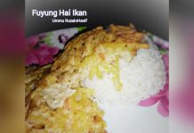 Fuyung Hai Ikan by Ummu RuzainHanif