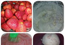 Homemade Strawberry Ice Cream by Ieda Ihsan