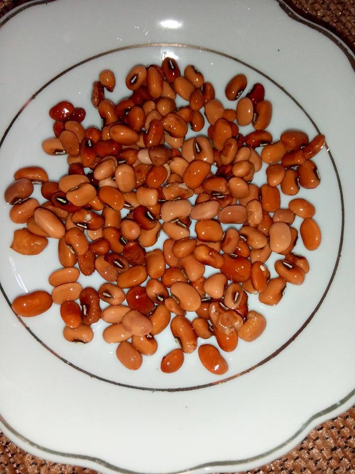 bahan Tumis Kacang Merah atau Kacang Tolo by Dedeyeri Sumarno