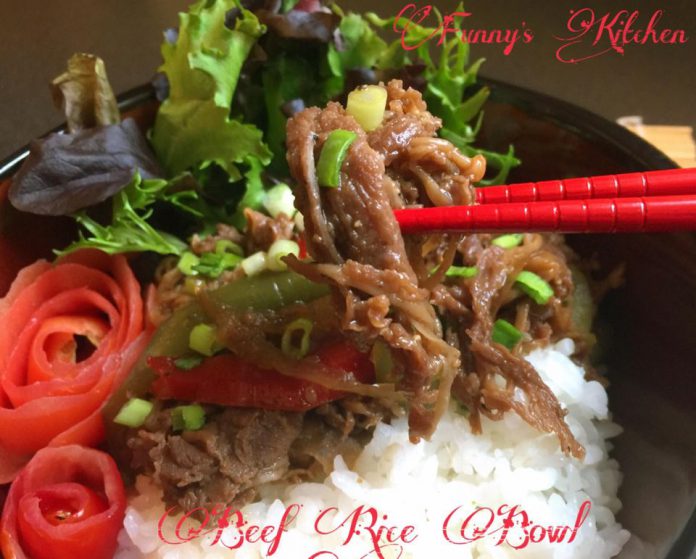 Rice Beef Bowl by Fani Valenzuela