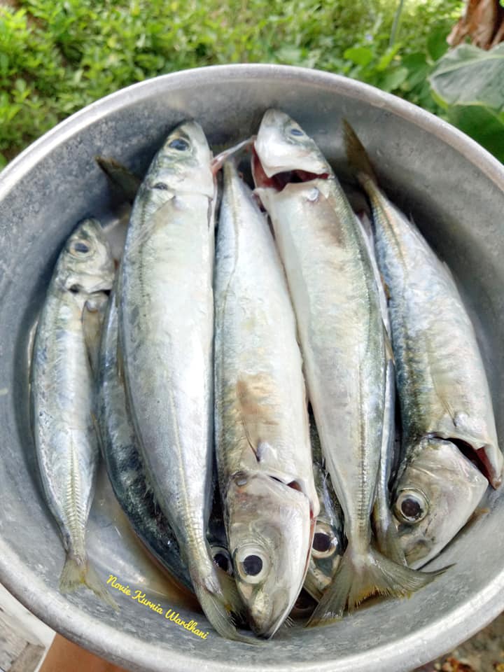 Fried Fish Is Not Hard And The Seasoning Permeated Perfectly By Novie Kurnia Wardani