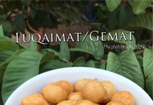 Luqaimat/Gemat by Nadin Dab