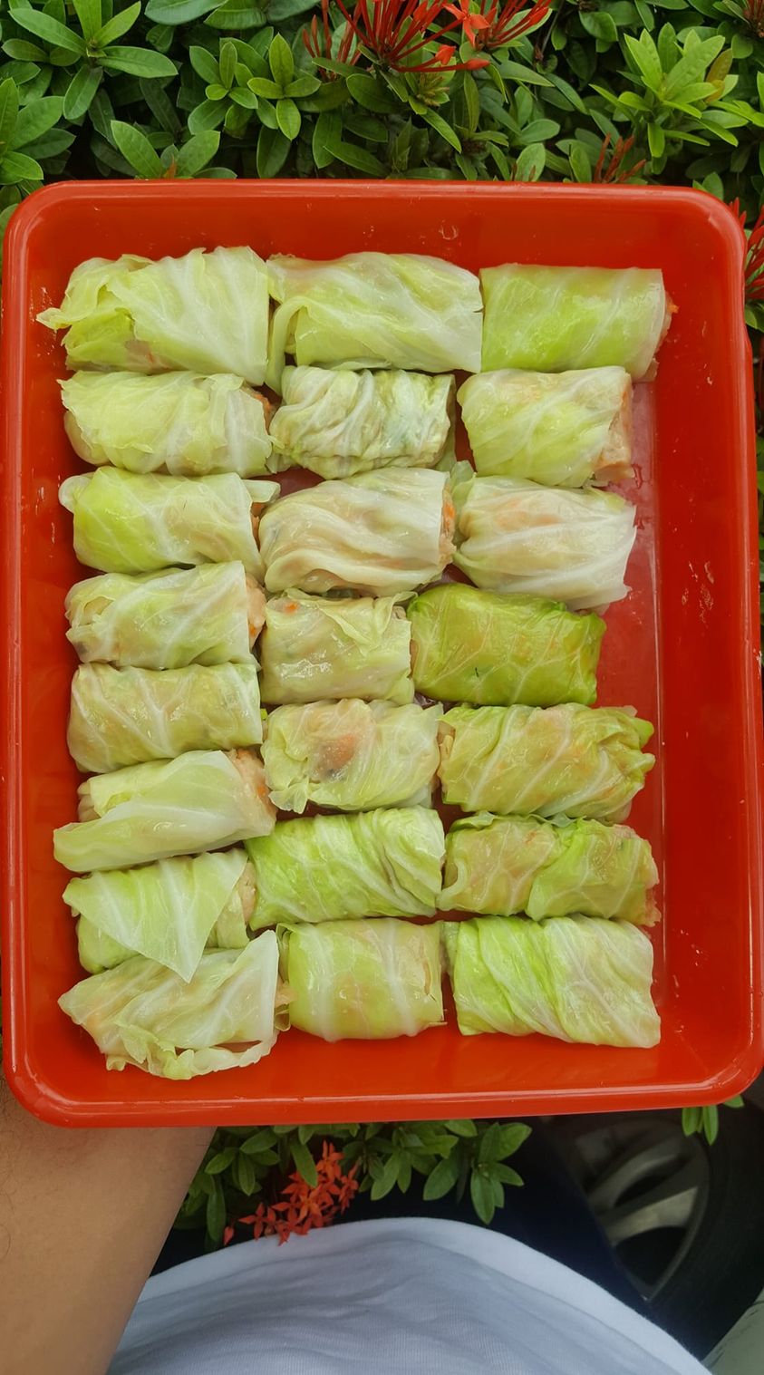 Resep Cabbage Roll atau Siomay Kubis by Ardhi Nurrahman