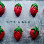 Cookies Strawberry Selai Nanas by Annansya Aina 2