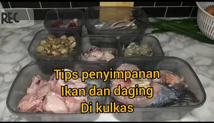 tips cara menyimpan daging dan ikan agar tidak cepat busuk dan tahan lama by Kinanti Citra